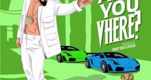 SkiiBii – Are You Vhere