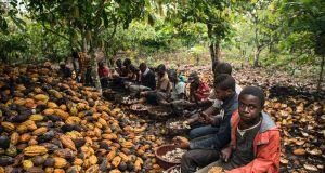Africa isn't earning more from cocoa