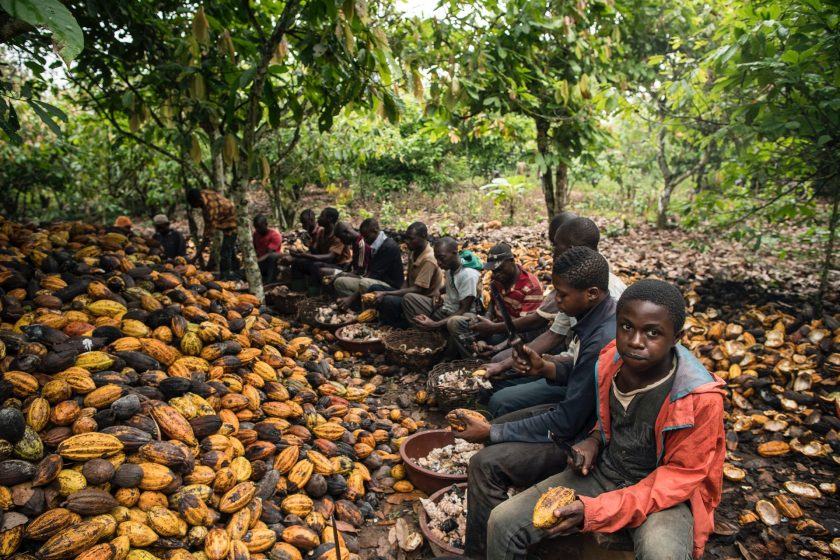 Africa isn't earning more from cocoa