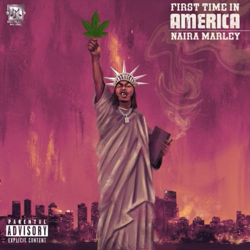 Naira Marley - First Time in America
