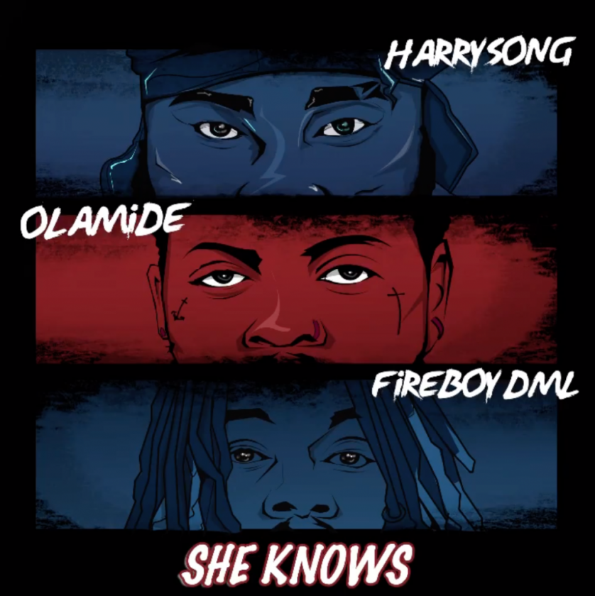 Harrysong - She Knows ft Fireboy DML & Olamide