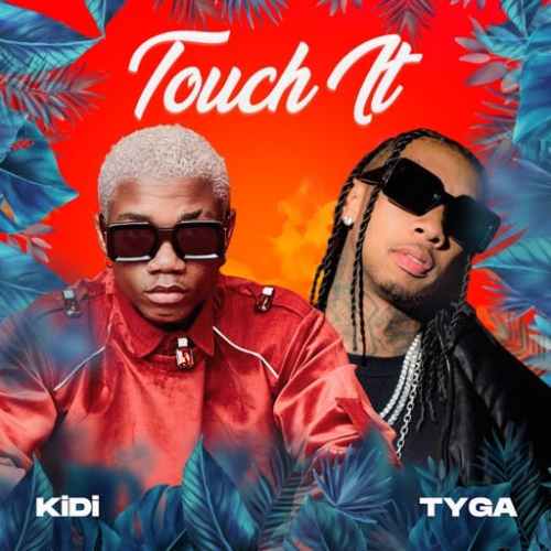 KiDi - Touch It (Remix) ft Tyga