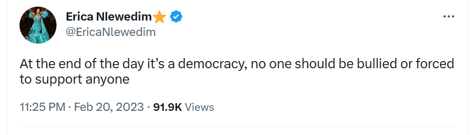 It's A Democracy, Do Not Be Bullied During Elections - Erica 2 Erica Nlewedim