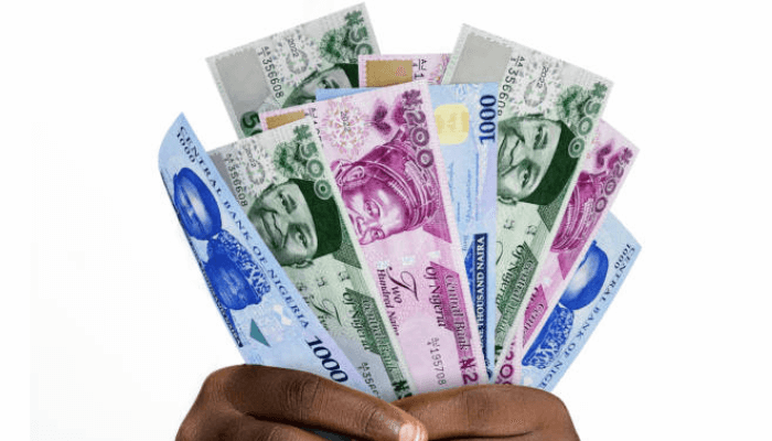 How To Master Your Money And Retire Early Naira