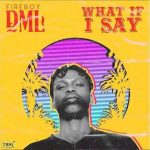 Fireboy DML – What If I Say [AuDio]