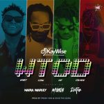 DJ Kaywise – What Type Of Dance ft Mayorkun, Naira Marley & Zlatan