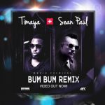Timaya - Bum Bum Remix ft Sean Paul